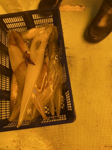 海龍丸（石川） 釣果