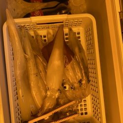 海龍丸（石川） 釣果