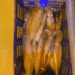 海龍丸（石川） 釣果