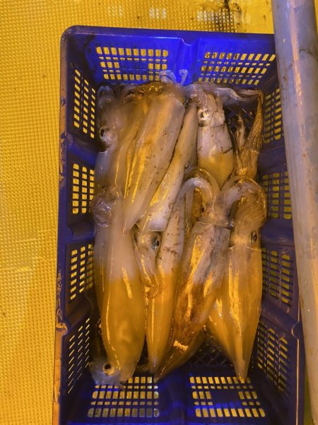 海龍丸（石川） 釣果