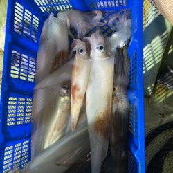 海龍丸（石川） 釣果