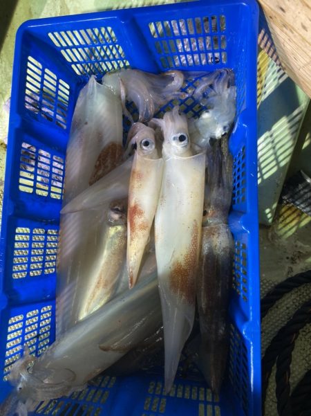 海龍丸（石川） 釣果