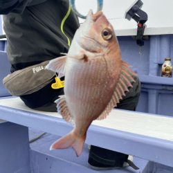 新幸丸 釣果