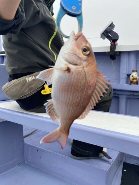 新幸丸 釣果