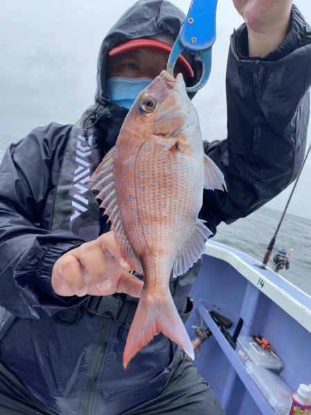 新幸丸 釣果