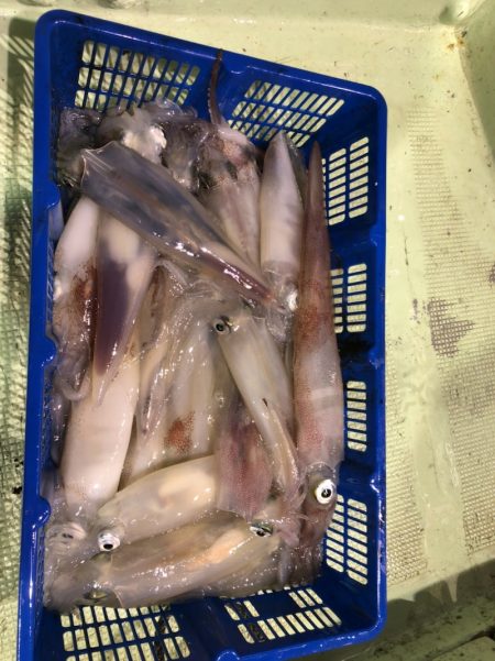 海龍丸(石川) 釣果