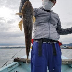 アマテラス 釣果