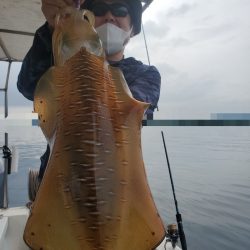 ソルトウォーターガイドフレンズ 釣果