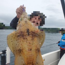 ソルトウォーターガイドフレンズ 釣果