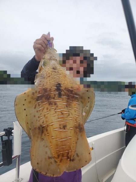 ソルトウォーターガイドフレンズ 釣果