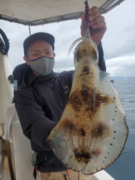 ソルトウォーターガイドフレンズ 釣果