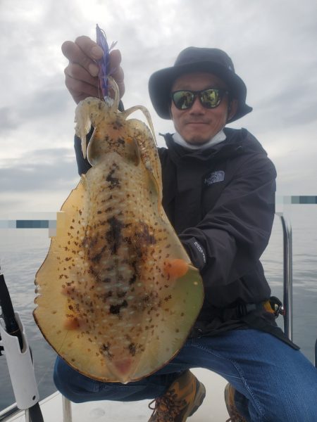 ソルトウォーターガイドフレンズ 釣果