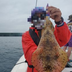 ソルトウォーターガイドフレンズ 釣果