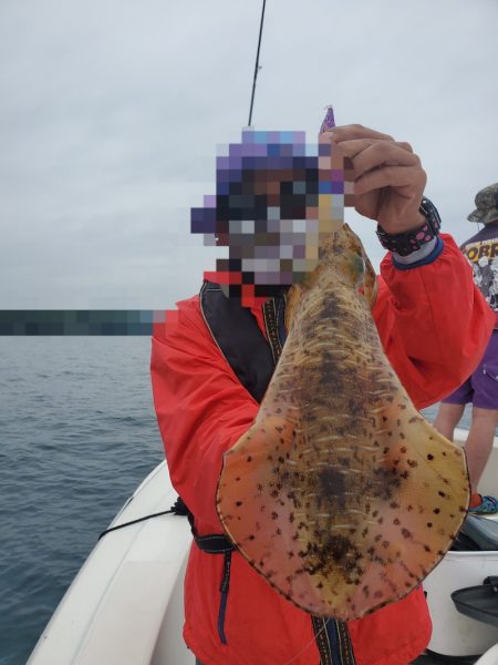 ソルトウォーターガイドフレンズ 釣果