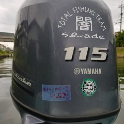 アマテラス 釣果