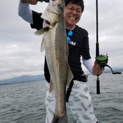 アマテラス 釣果