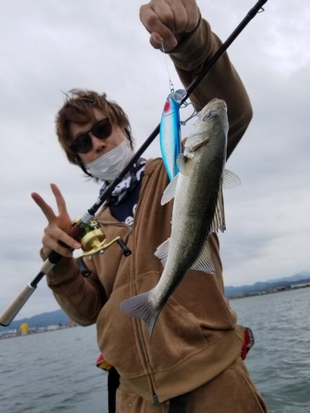 アマテラス 釣果