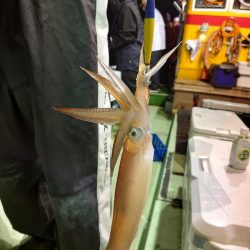 海龍丸（石川） 釣果