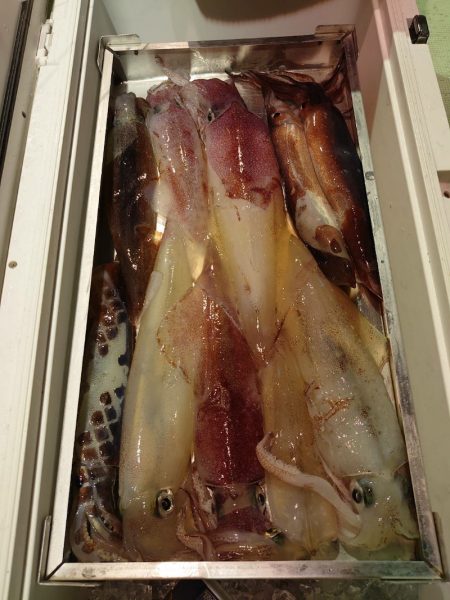 海龍丸（石川） 釣果