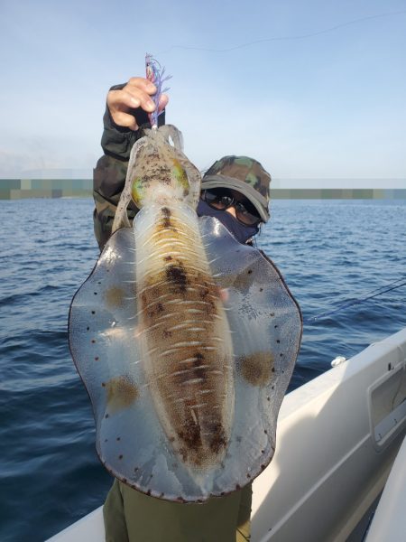 ソルトウォーターガイドフレンズ 釣果