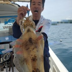 ソルトウォーターガイドフレンズ 釣果