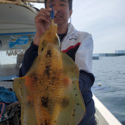 ソルトウォーターガイドフレンズ 釣果