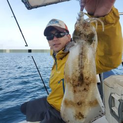 ソルトウォーターガイドフレンズ 釣果