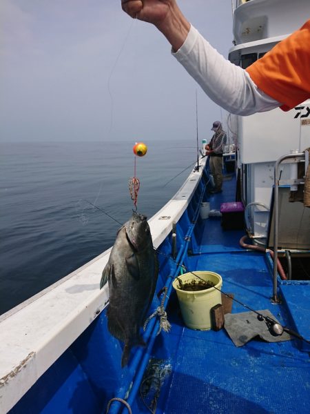 清和丸 釣果