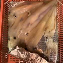 海龍丸（石川） 釣果