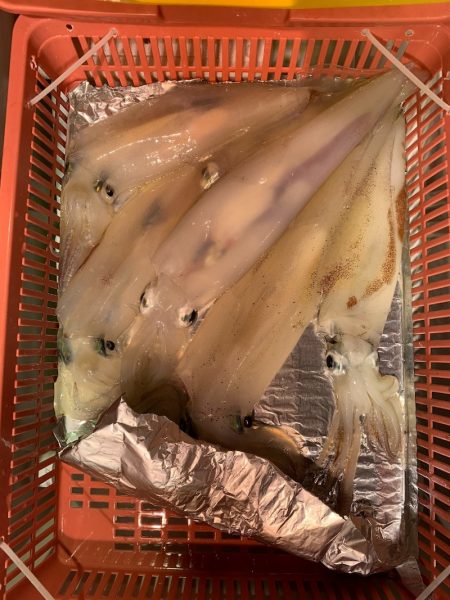 海龍丸（石川） 釣果