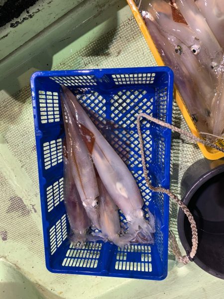 海龍丸（石川） 釣果