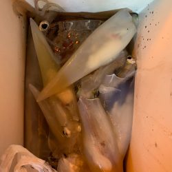 海龍丸（石川） 釣果