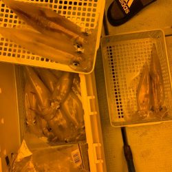 海龍丸（石川） 釣果