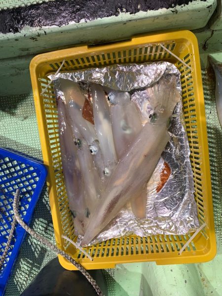 海龍丸（石川） 釣果