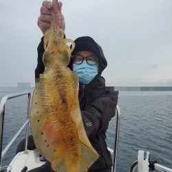 ソルトウォーターガイドフレンズ 釣果