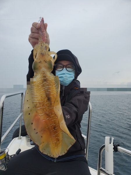 ソルトウォーターガイドフレンズ 釣果