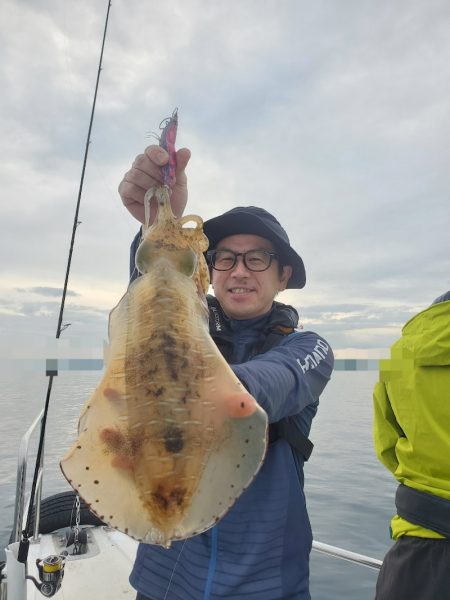 ソルトウォーターガイドフレンズ 釣果