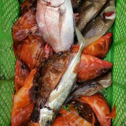 一華丸 釣果