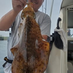 ソルトウォーターガイドフレンズ 釣果