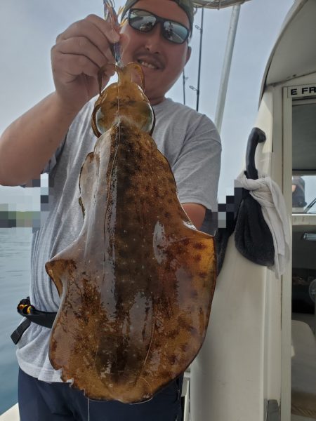 ソルトウォーターガイドフレンズ 釣果