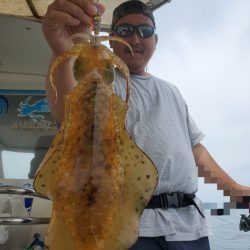 ソルトウォーターガイドフレンズ 釣果