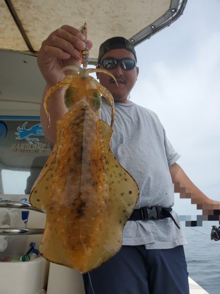 ソルトウォーターガイドフレンズ 釣果