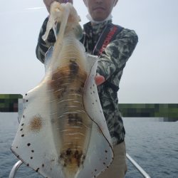 ソルトウォーターガイドフレンズ 釣果