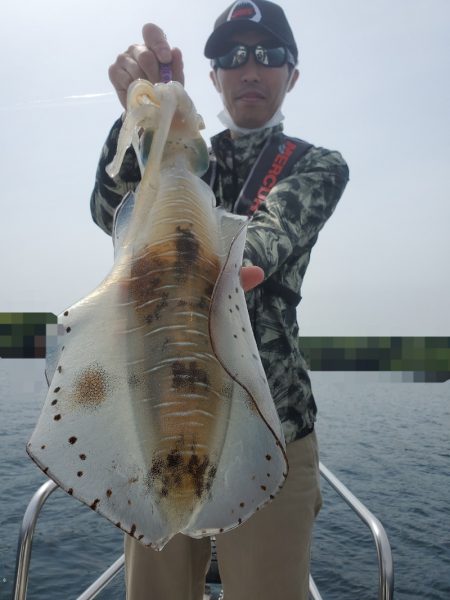 ソルトウォーターガイドフレンズ 釣果