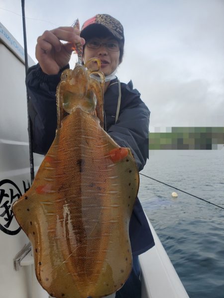 ソルトウォーターガイドフレンズ 釣果