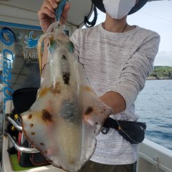 ソルトウォーターガイドフレンズ 釣果