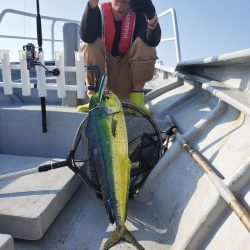 一華丸 釣果