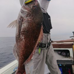 鷹王丸 釣果