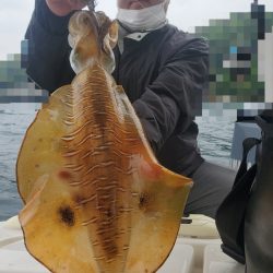 ソルトウォーターガイドフレンズ 釣果