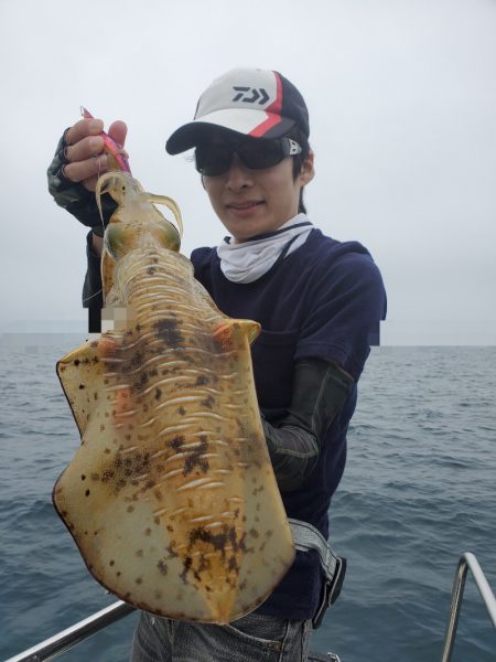 ソルトウォーターガイドフレンズ 釣果